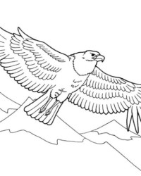 Malvorlage Adler kostenlos 3