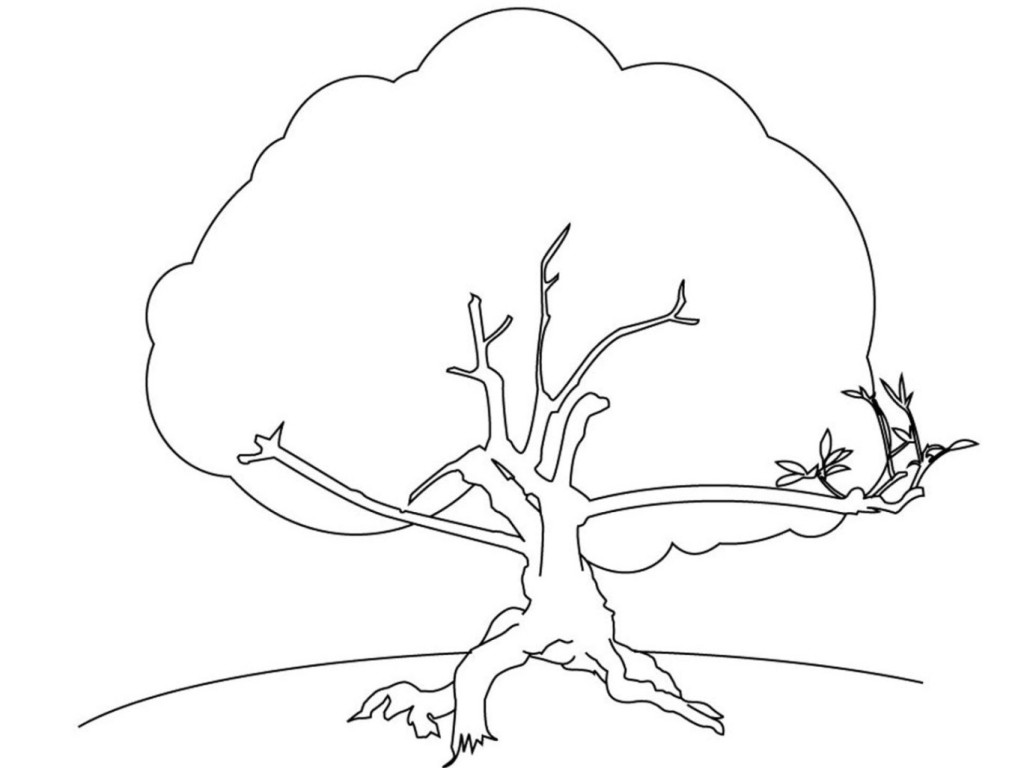 Ausmalbilder zum Drucken Malvorlage Baum kostenlos 3