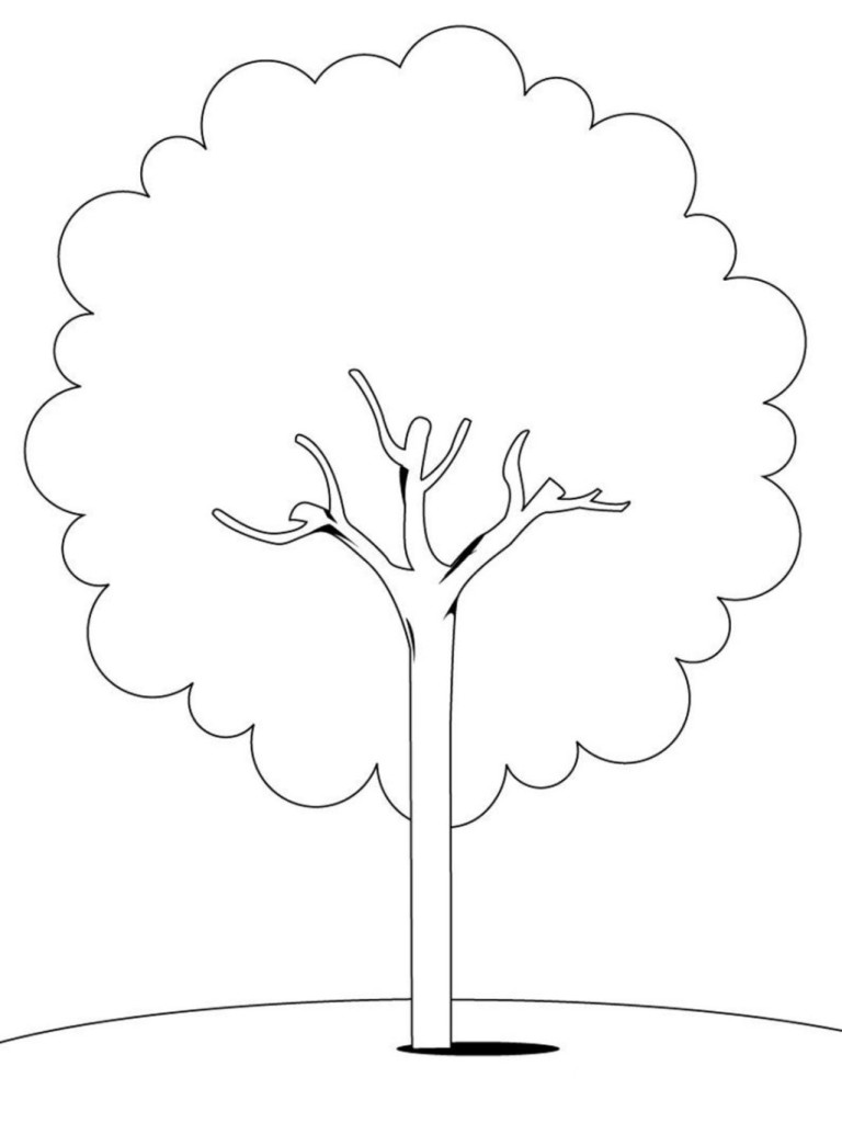 Malvorlage Baum kostenlos 4