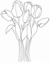 Malvorlage Blumen kostenlos 2