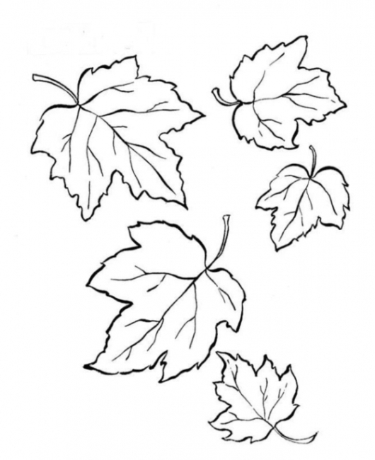 Blätter Malvorlagen