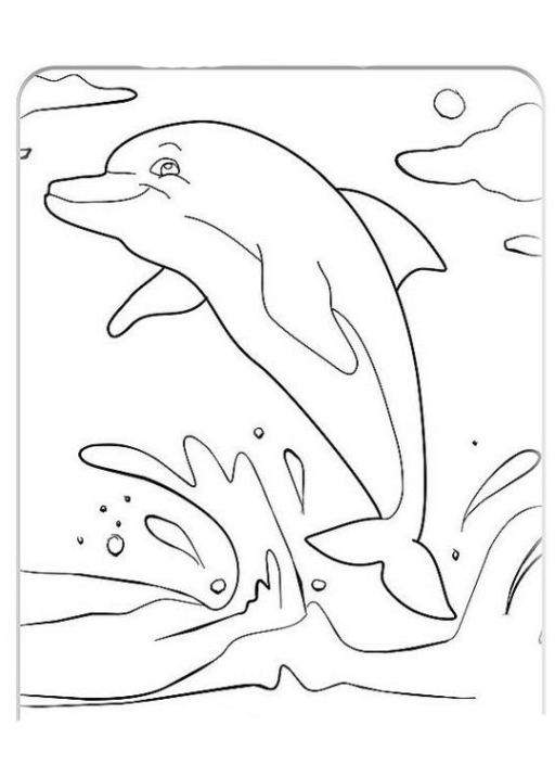 ausmalbilder zum drucken malvorlage delphine kostenlos 6