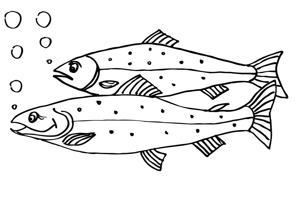ausmalbilder zum drucken malvorlage fisch kostenlos 5