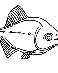 Malvorlage Fisch kostenlos 6