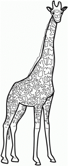 ausmalbilder zum drucken malvorlage giraffe kostenlos 3