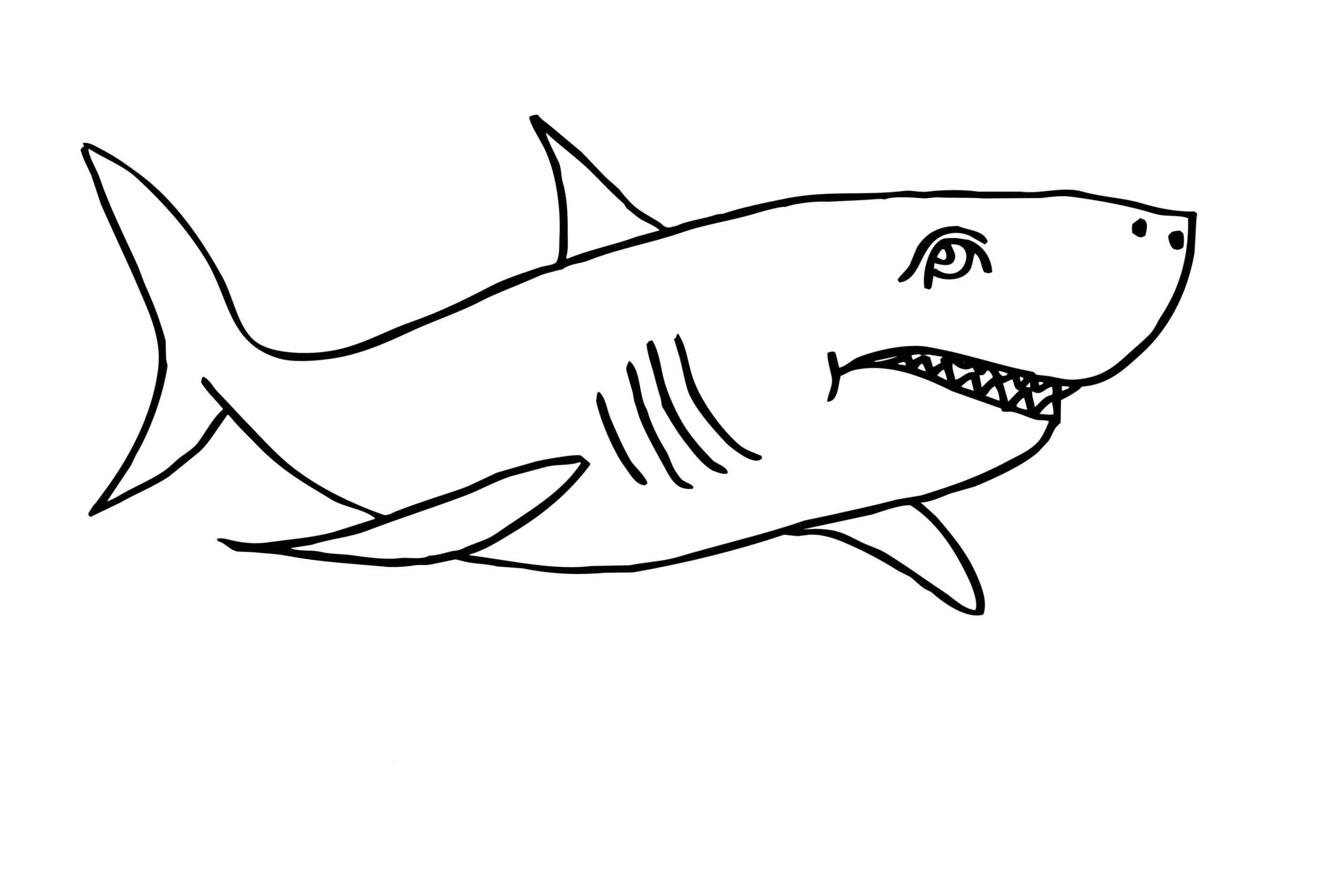 mean shark coloring pages coloring pages