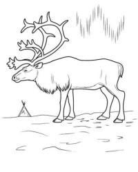 Malvorlage Hirsch kostenlos 6