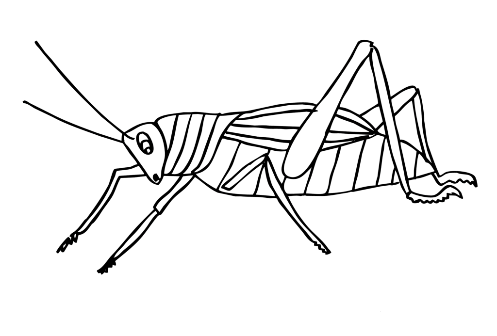 Malvorlage Insekten kostenlos 2