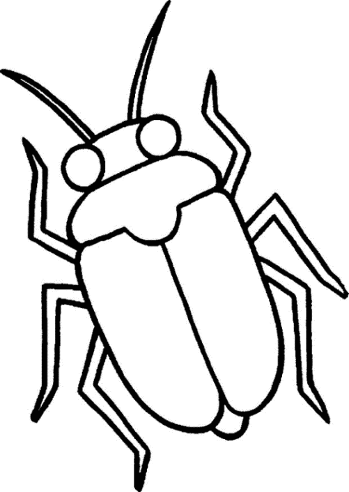 ausmalbilder zum drucken malvorlage käfer kostenlos 3