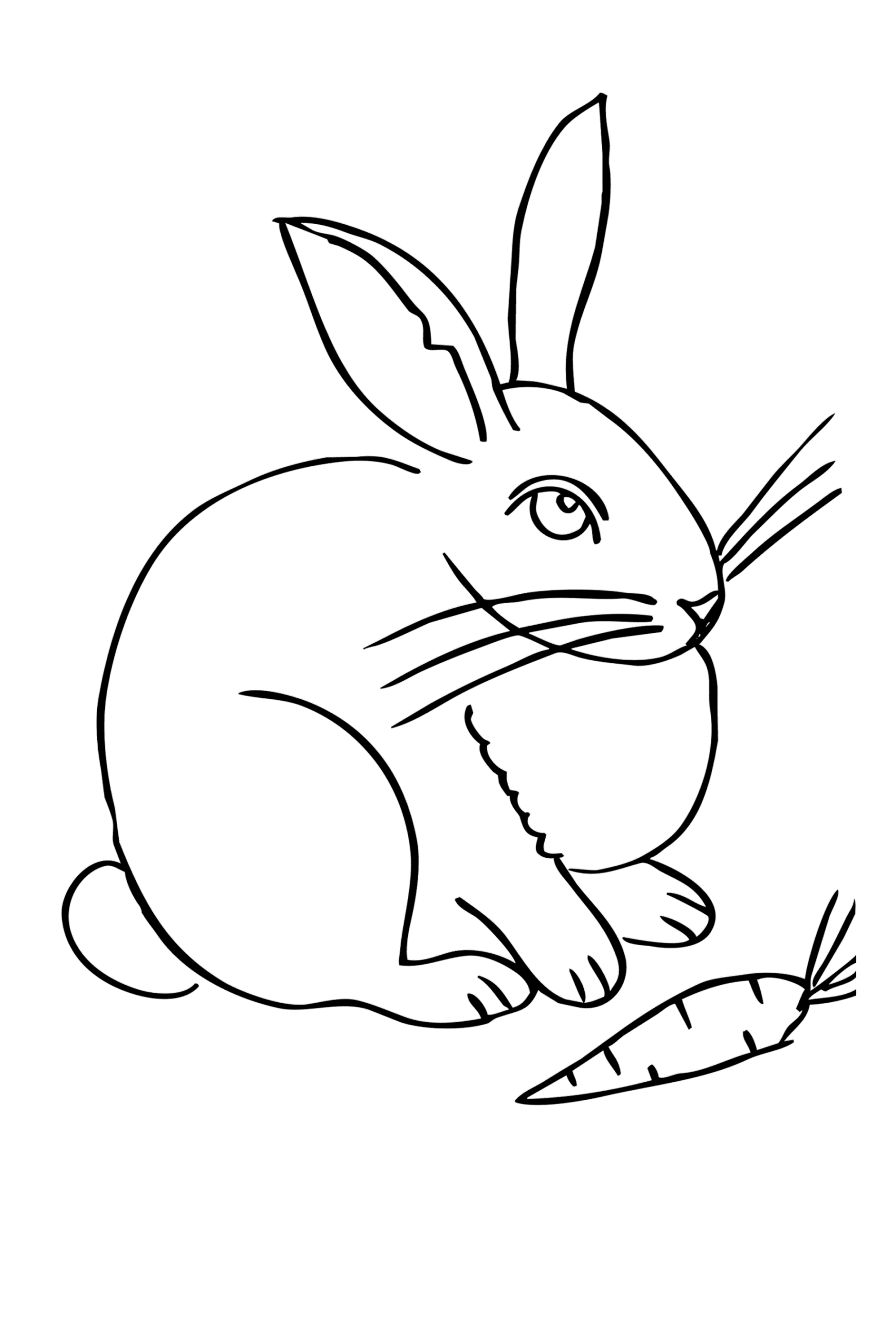 ausmalbilder zum drucken malvorlage kaninchen kostenlos 2