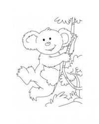 Malvorlage Koala kostenlos 3