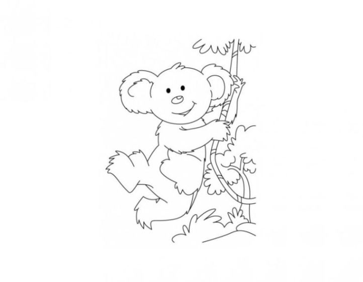 ausmalbilder zum drucken malvorlage koala kostenlos 3