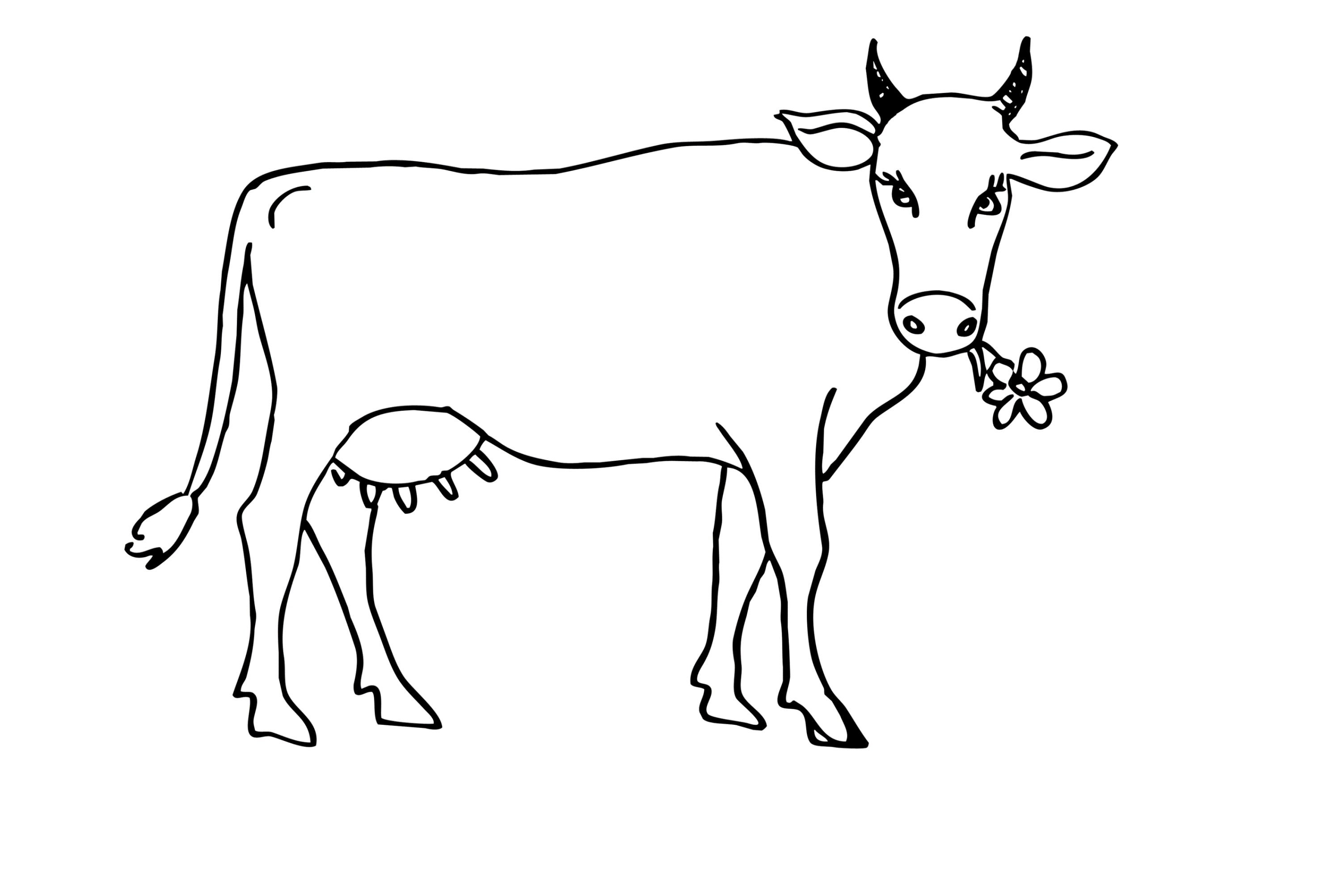 Ausmalbilder zum Drucken Malvorlage Kuh kostenlos 5