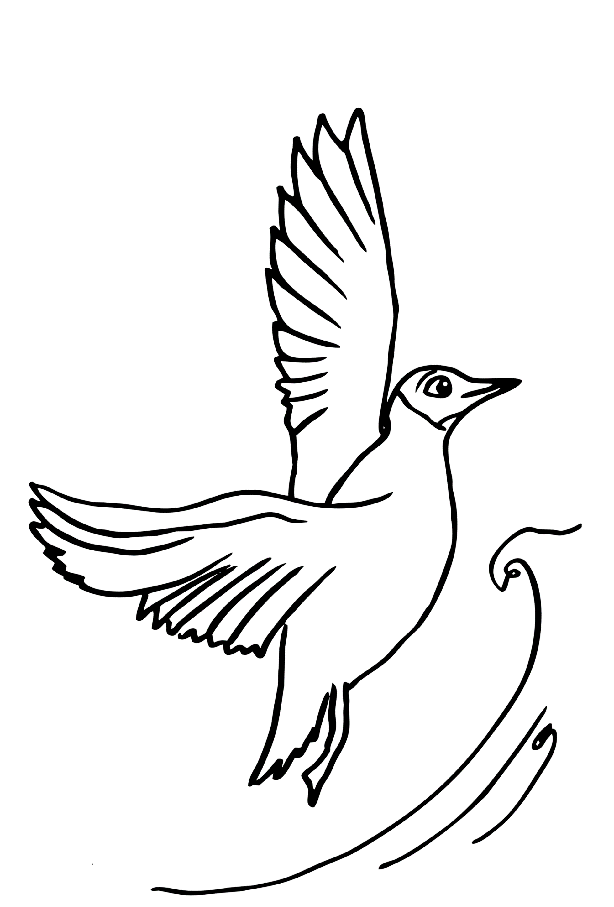 Ausmalbilder zum Drucken Malvorlage Möwe kostenlos 1 Ausmalbilder zum Drucken Malvorlage Möwe kostenlos 1
