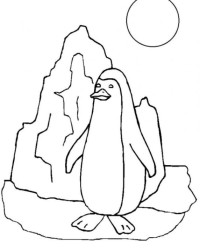 Malvorlage Pinguin kostenlos 4