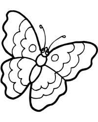 Malvorlage Schmetterling kostenlos 4