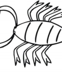 Malvorlage Skorpion kostenlos 3