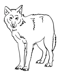 Malvorlage Tiere kostenlos 1