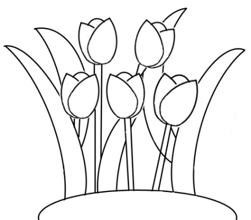 Malvorlage Tulpe kostenlos 1