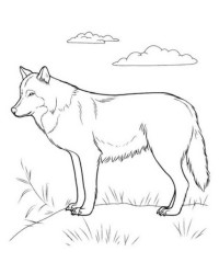 Malvorlage Wolf kostenlos 1