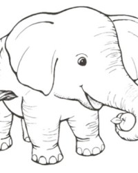 Malvorlage elefant kostenlos 2