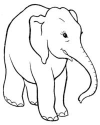Malvorlage elefant kostenlos 3