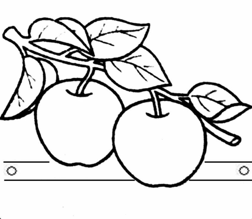Ausmalbilder zum Drucken Malvorlage Apfelbaum kostenlos 1