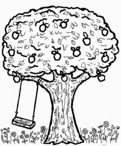 Ausmalbilder zum Drucken Malvorlage Apfelbaum kostenlos 2