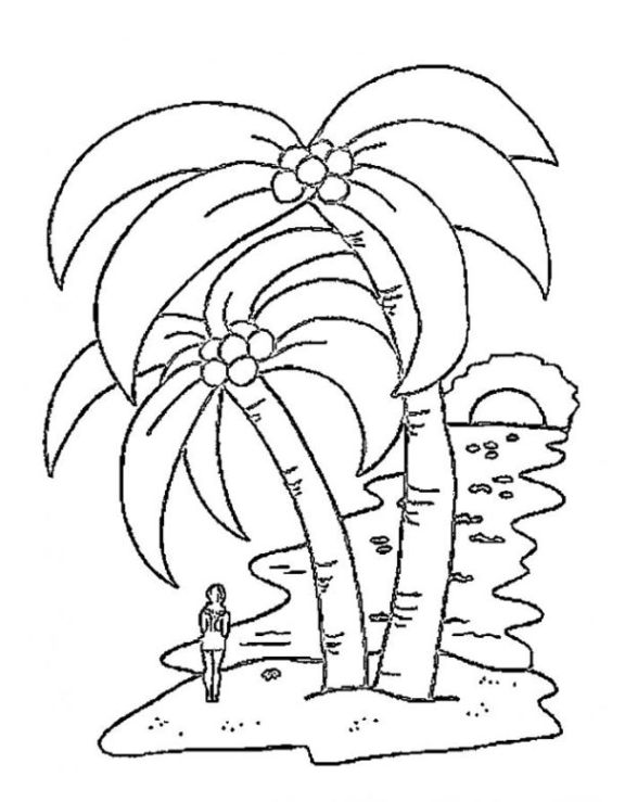 Ausmalbilder zum Drucken Malvorlage Palme kostenlos 4