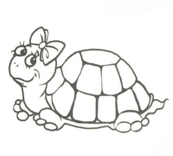 Malvorlage Schildkröte Von Oben