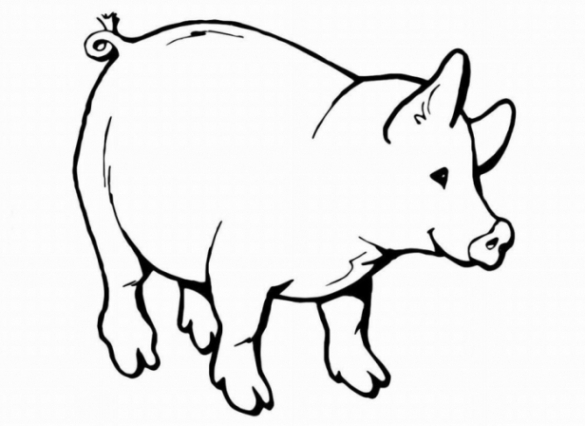 ausmalbilder zum drucken malvorlage schwein kostenlos 2