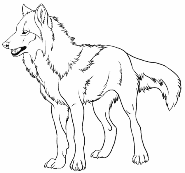 Kinder Wolf Coloring Pages 9